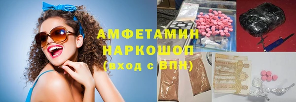 шишки Абаза