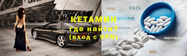 шишки Абаза