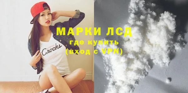 шишки Абаза