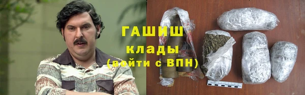 шишки Абаза