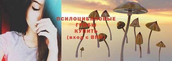 соль курить ск Алексеевка
