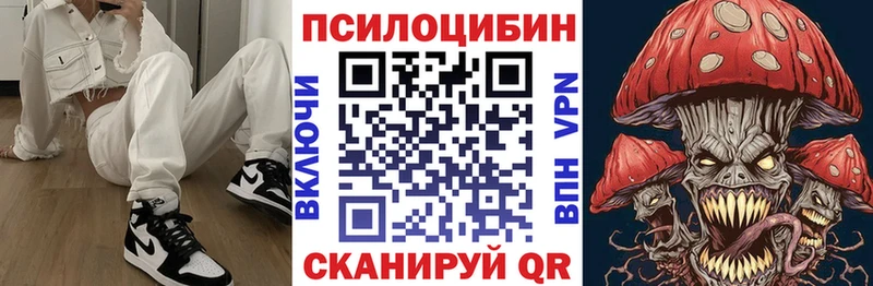 Псилоцибиновые грибы Cubensis  Нерехта 